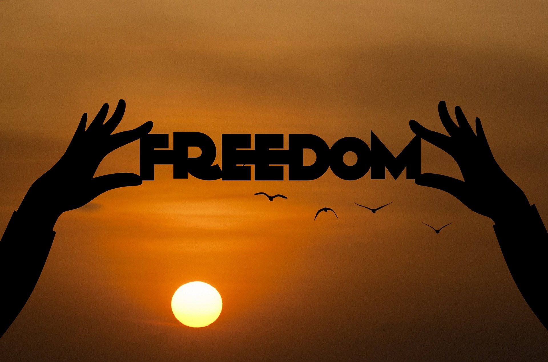 your freedom